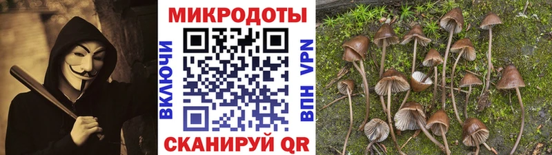 магазин    Мензелинск  KRAKEN как войти  Галлюциногенные грибы MAGIC MUSHROOMS 